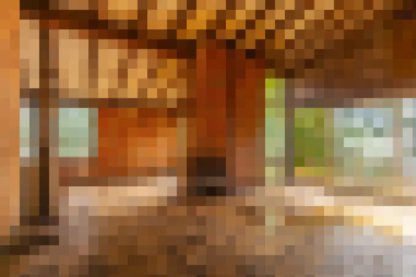 Wolfhezerweg 120 49 Wolfheze thumbnail 12