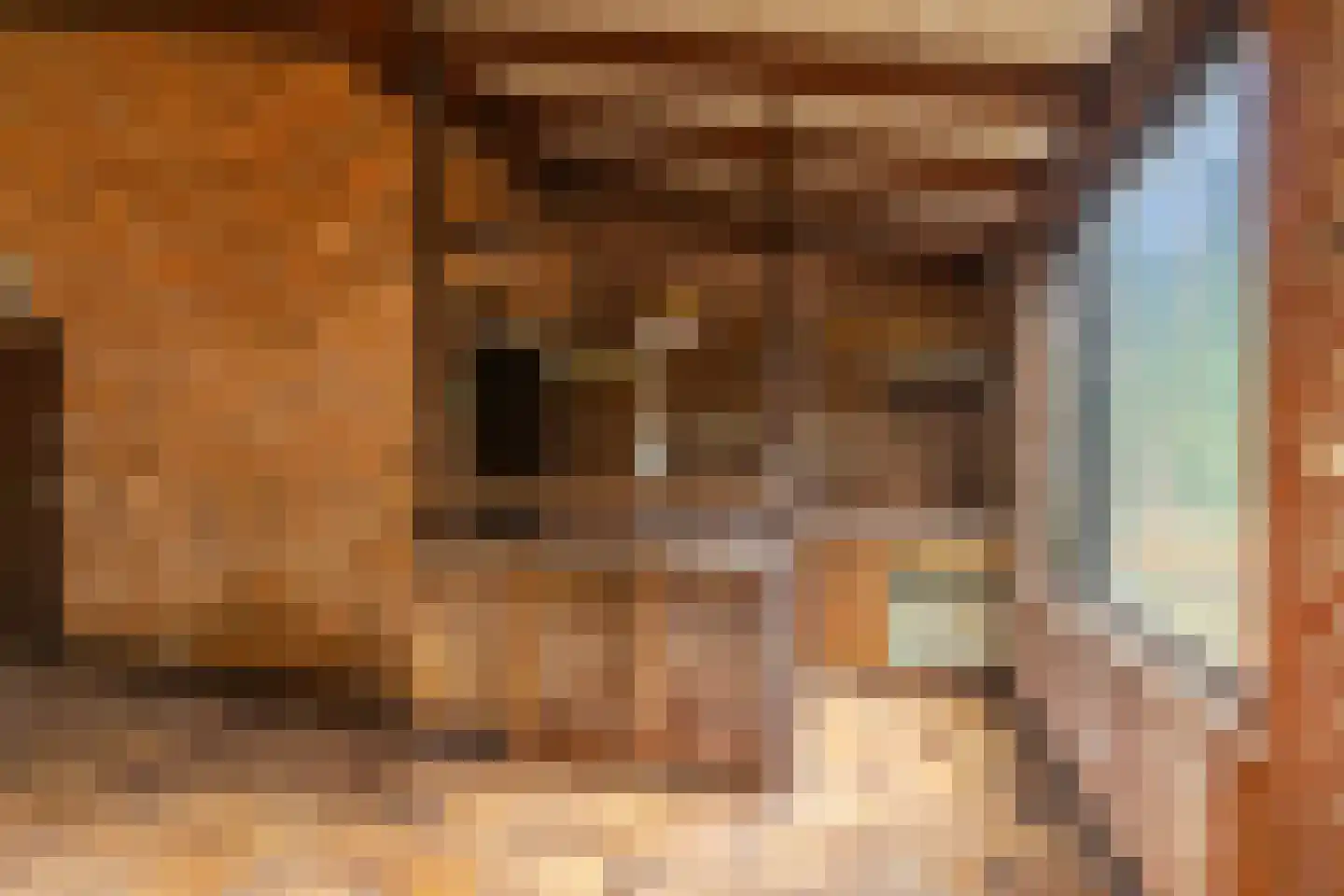 Wolfhezerweg 120 49 Wolfheze thumbnail 13