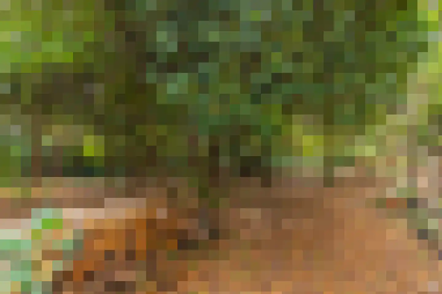 Wolfhezerweg 120 49 Wolfheze thumbnail 14
