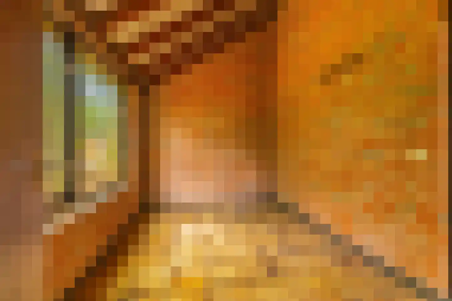 Wolfhezerweg 120 49 Wolfheze thumbnail 14