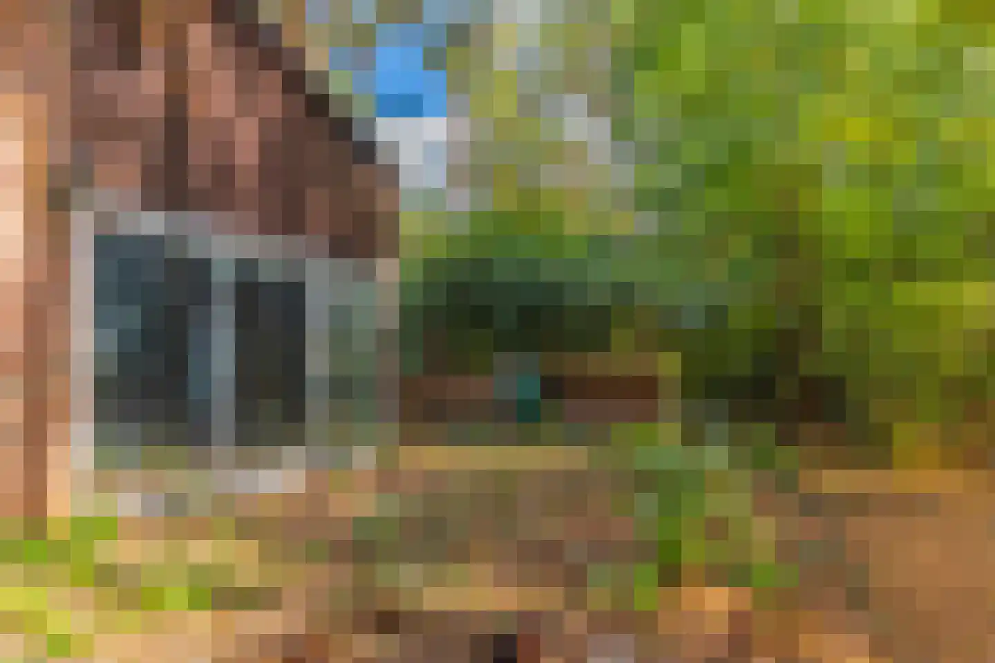 Wolfhezerweg 120 49 Wolfheze thumbnail 15