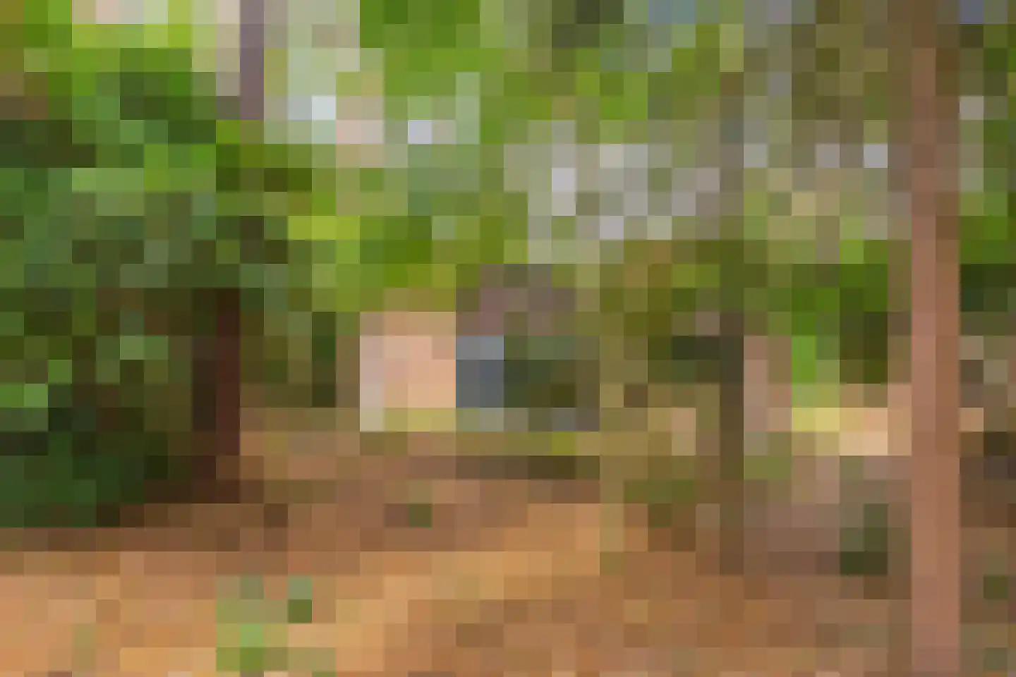 Wolfhezerweg 120 49 Wolfheze thumbnail 16