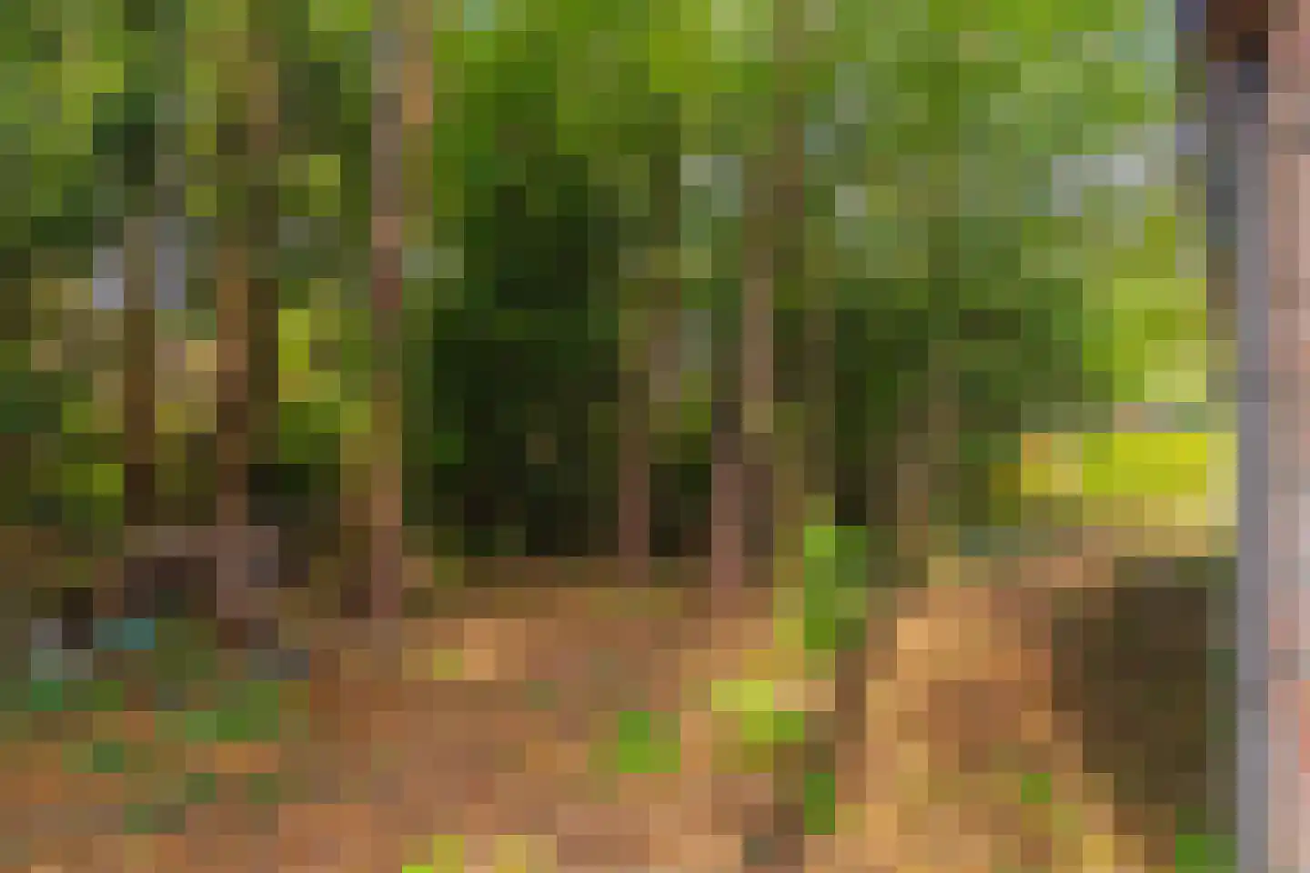 Wolfhezerweg 120 49 Wolfheze thumbnail 19