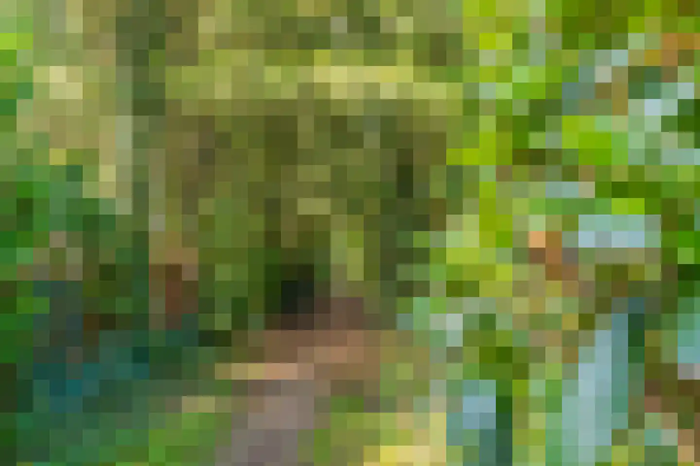 Wolfhezerweg 120 49 Wolfheze thumbnail 23