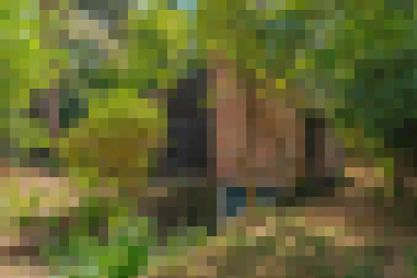 Wolfhezerweg 120 49 Wolfheze thumbnail 4