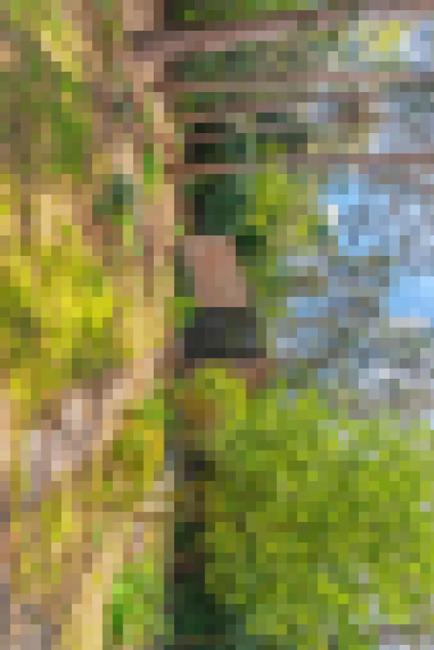 Wolfhezerweg 120 49 Wolfheze thumbnail 5