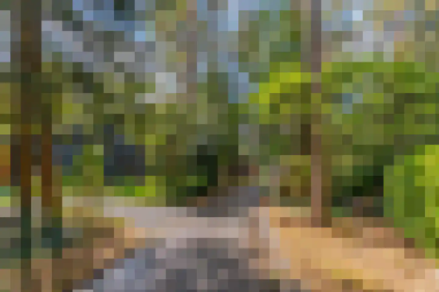 Wolfhezerweg 120 49 Wolfheze thumbnail 6