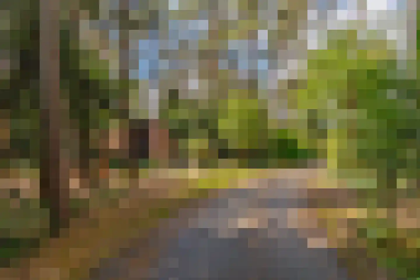Wolfhezerweg 120 49 Wolfheze thumbnail 7