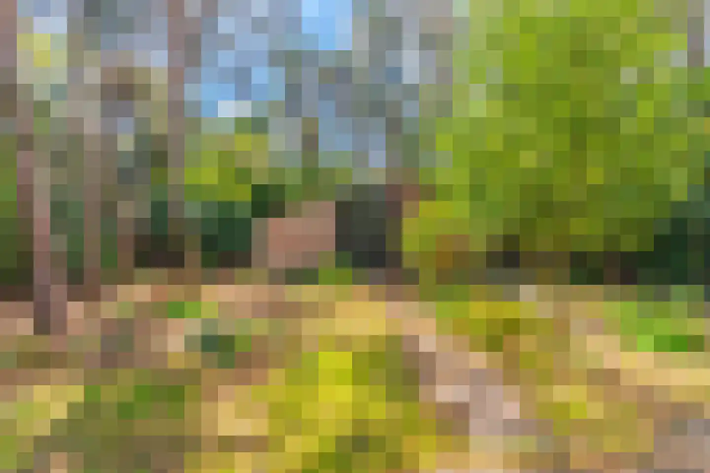 Wolfhezerweg 120 49 Wolfheze thumbnail 9
