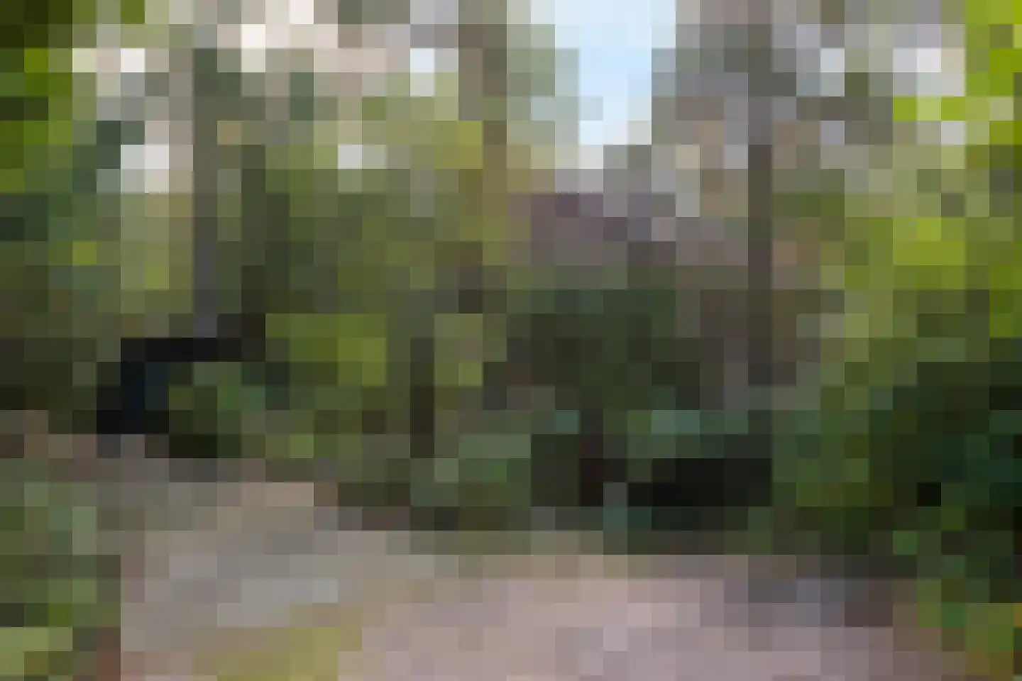 Wolfhezerweg 120 57 Wolfheze thumbnail 10