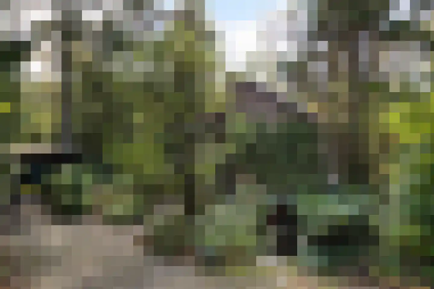 Wolfhezerweg 120 57 Wolfheze thumbnail 11
