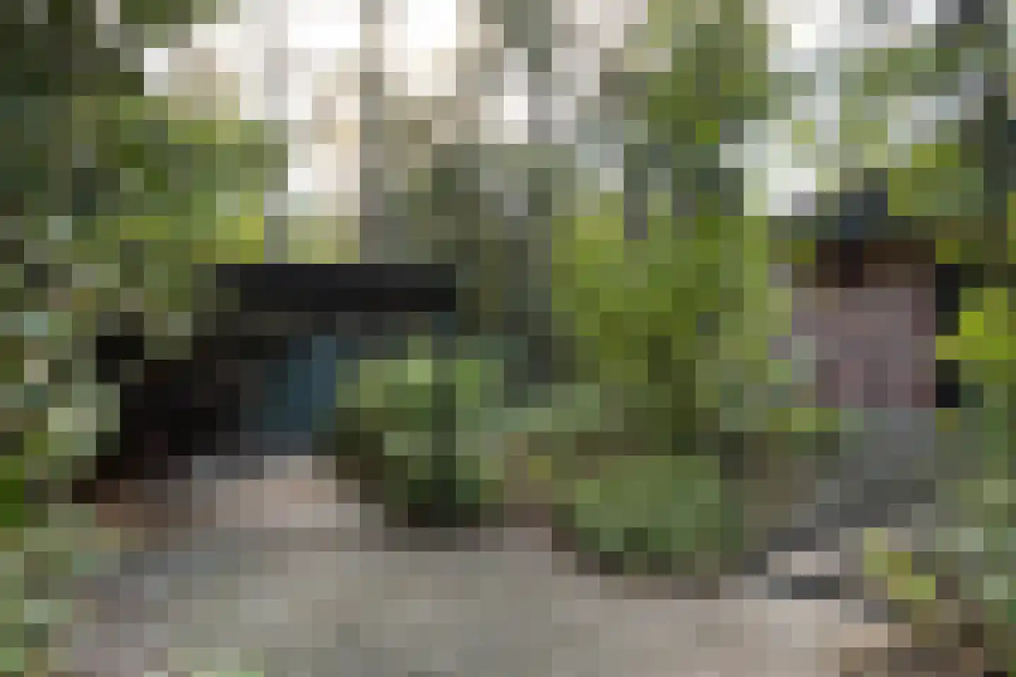 Wolfhezerweg 120 57 Wolfheze thumbnail 12