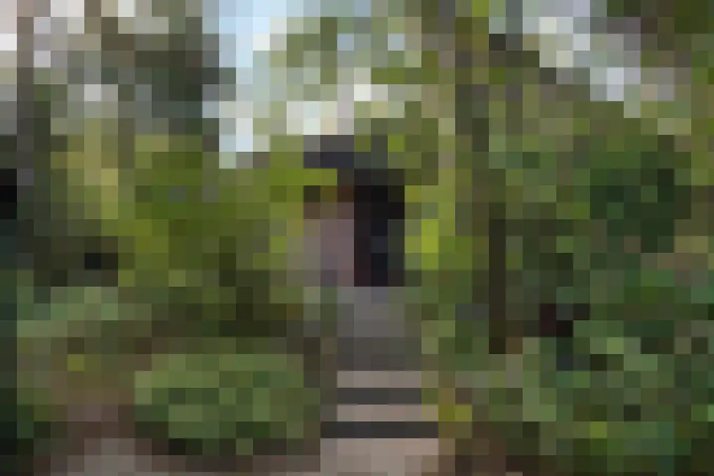Wolfhezerweg 120 57 Wolfheze thumbnail 13