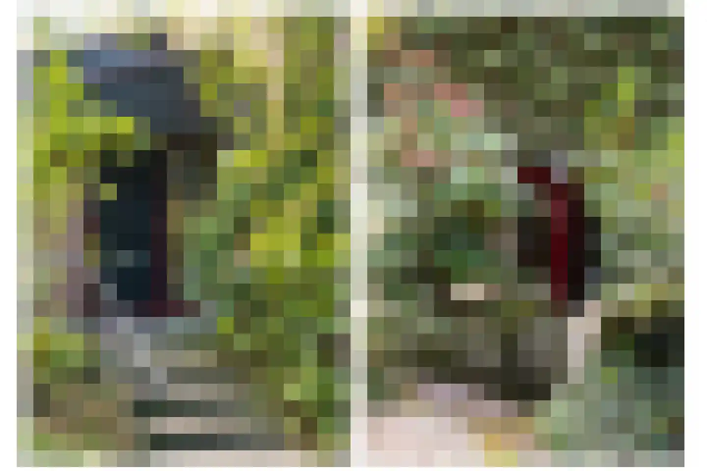Wolfhezerweg 120 57 Wolfheze thumbnail 14