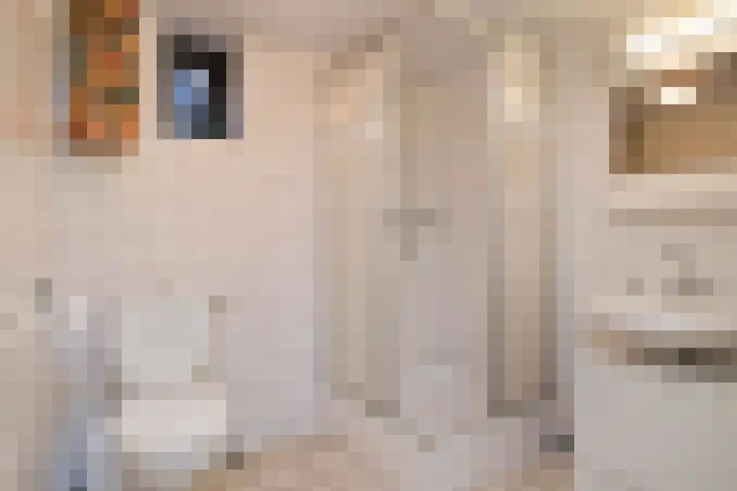 Wolfhezerweg 120 57 Wolfheze thumbnail 48
