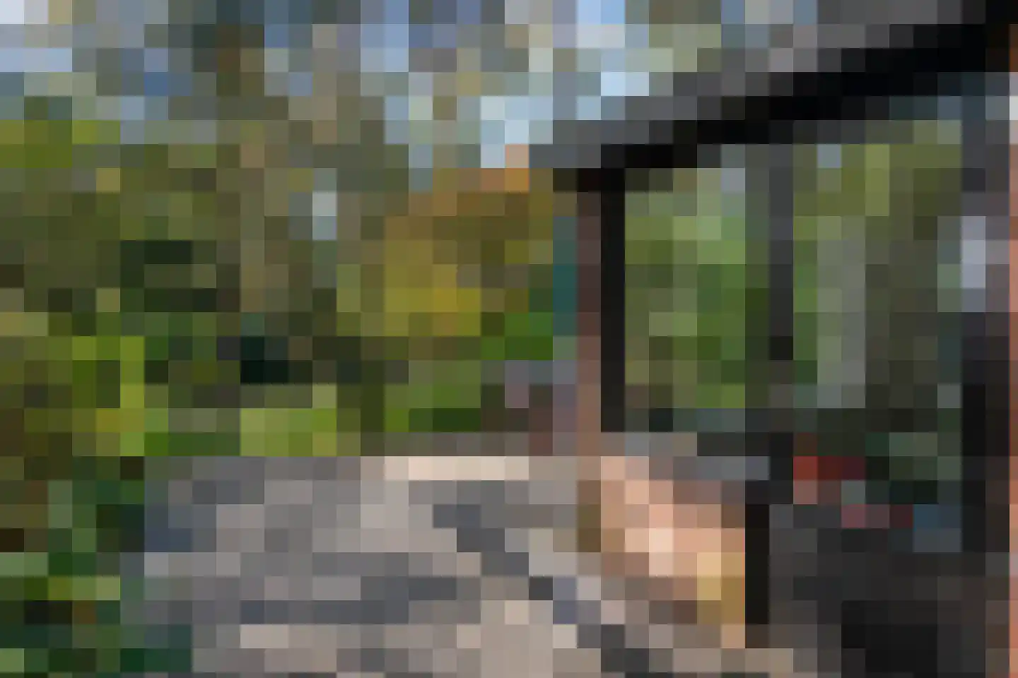 Wolfhezerweg 120 57 Wolfheze thumbnail 52
