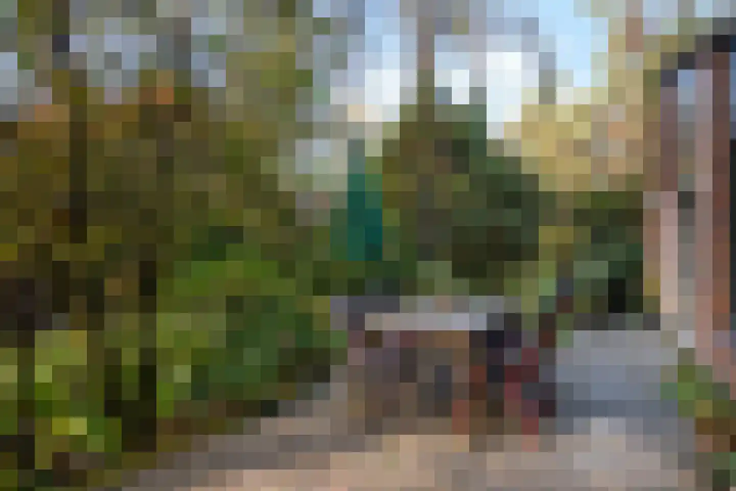 Wolfhezerweg 120 57 Wolfheze thumbnail 53