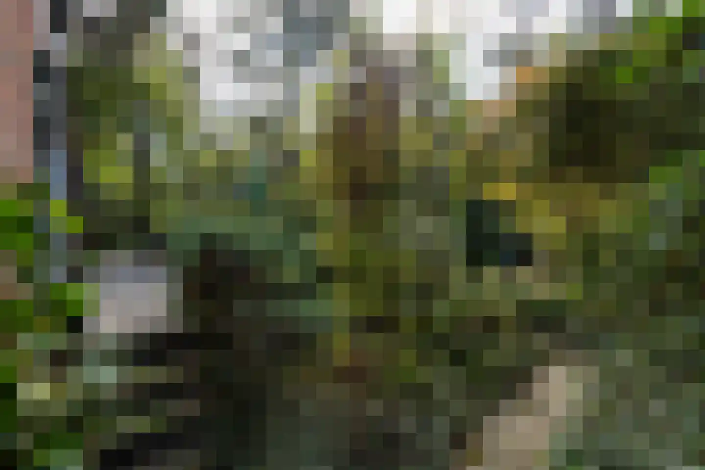 Wolfhezerweg 120 57 Wolfheze thumbnail 55