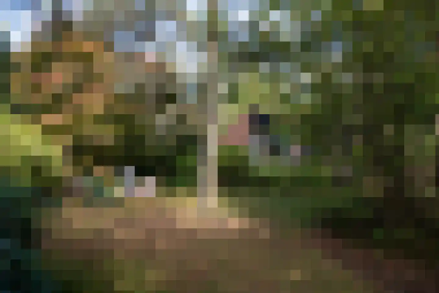 Wolfhezerweg 120 57 Wolfheze thumbnail 56