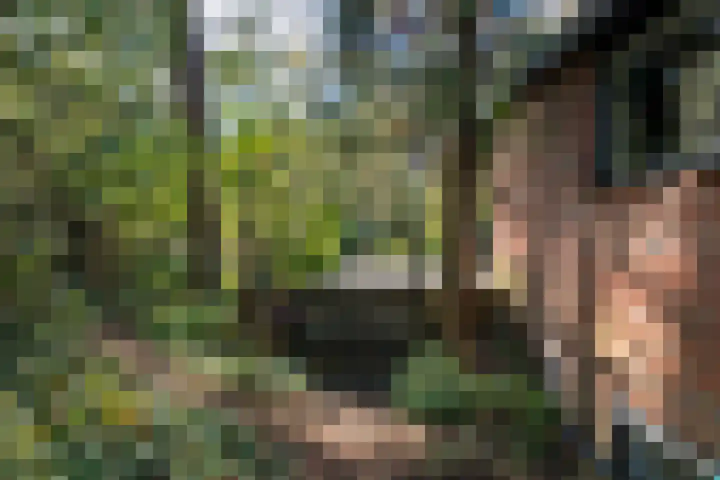 Wolfhezerweg 120 57 Wolfheze thumbnail 57
