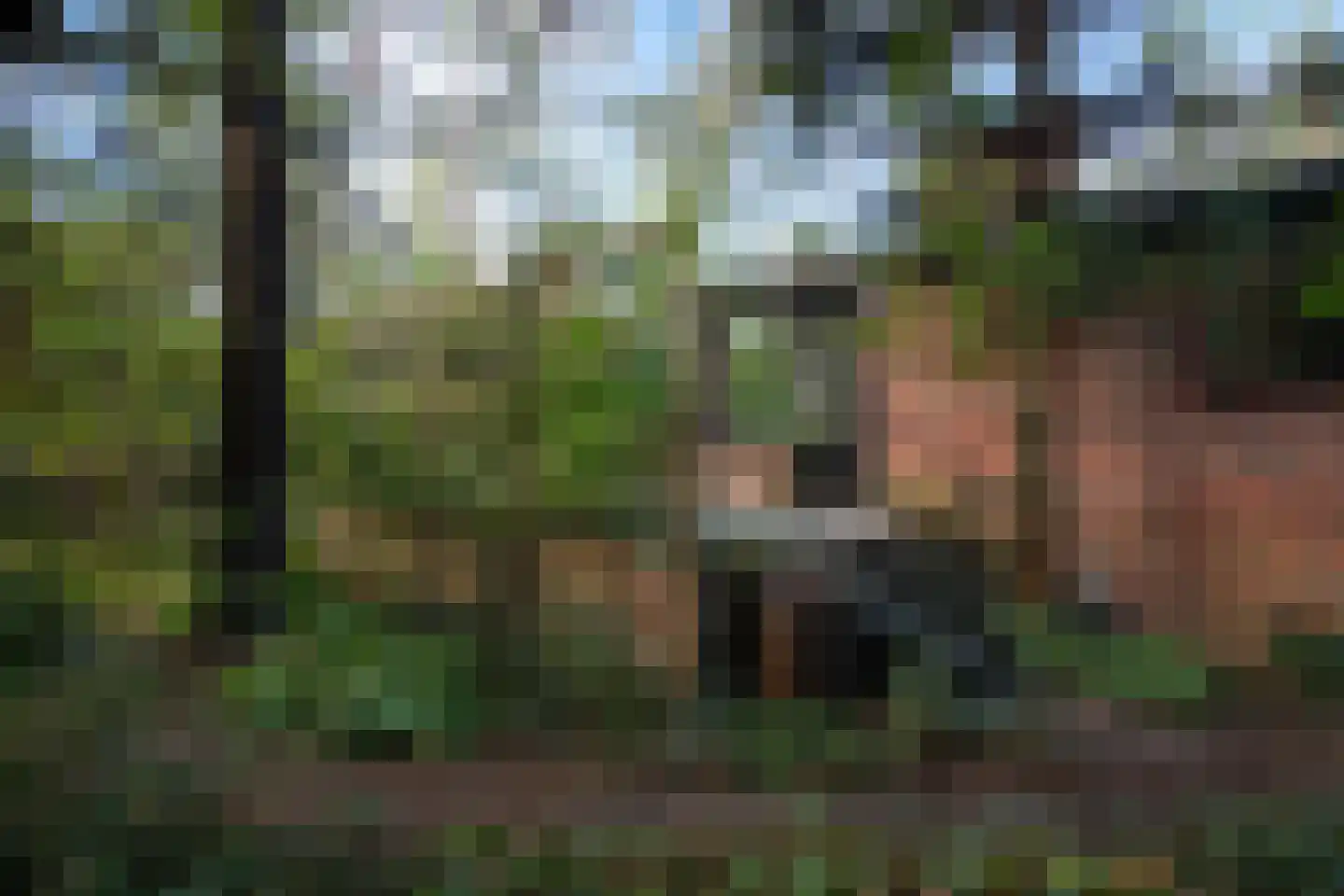 Wolfhezerweg 120 57 Wolfheze thumbnail 58
