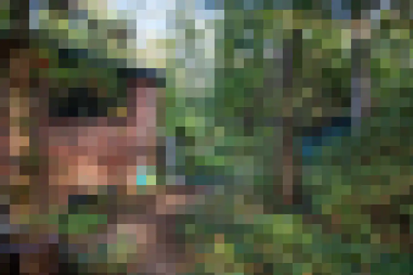 Wolfhezerweg 120 57 Wolfheze thumbnail 59