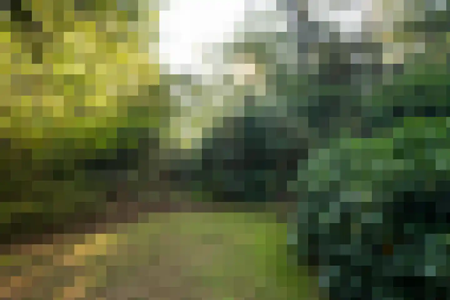 Wolfhezerweg 120 57 Wolfheze thumbnail 62