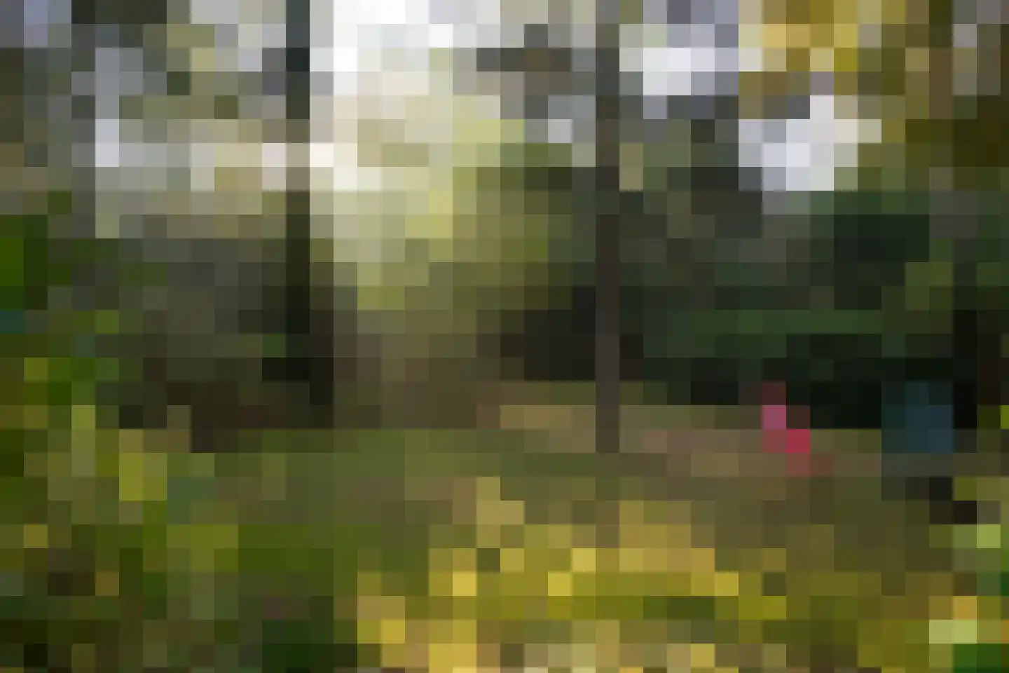 Wolfhezerweg 120 57 Wolfheze thumbnail 63