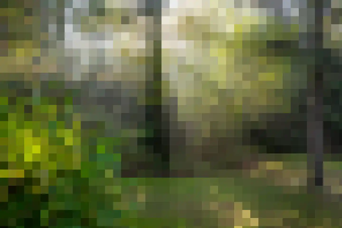 Wolfhezerweg 120 57 Wolfheze thumbnail 64