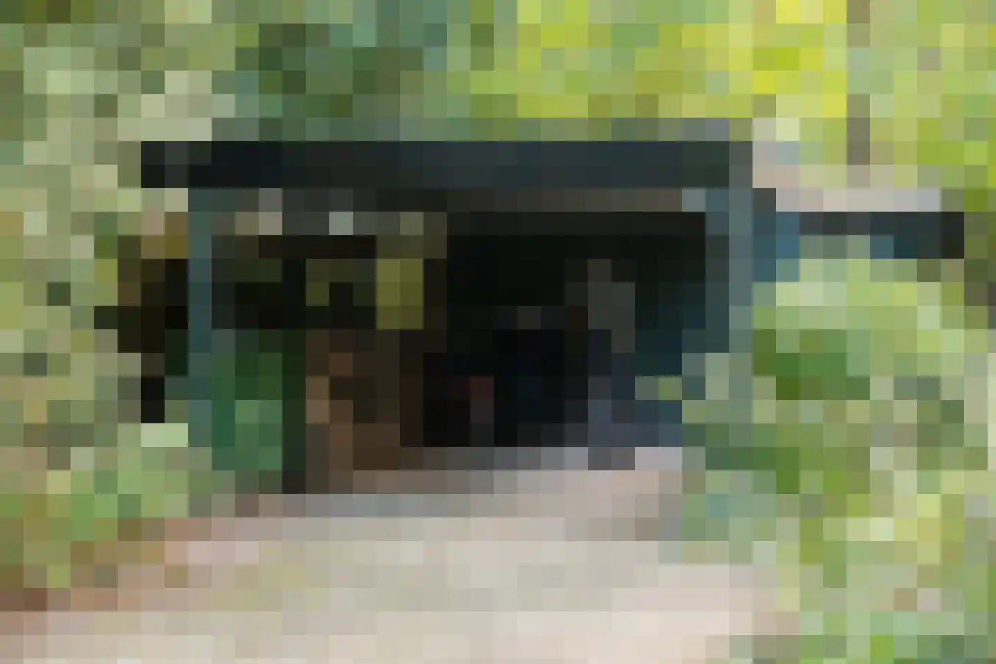 Wolfhezerweg 120 57 Wolfheze thumbnail 67