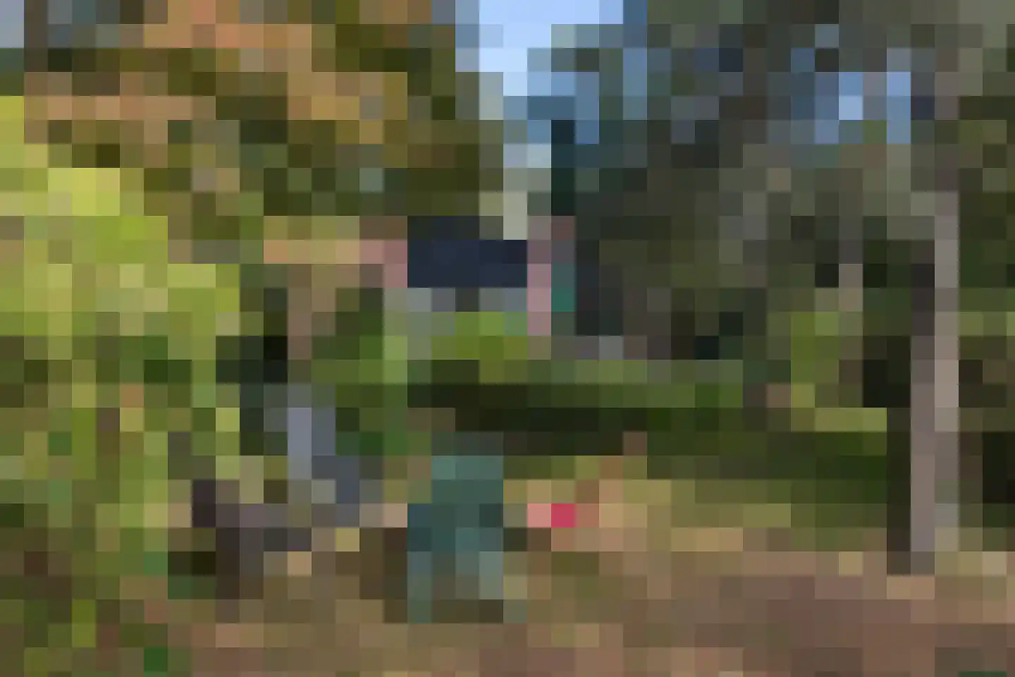 Wolfhezerweg 120 57 Wolfheze thumbnail 7