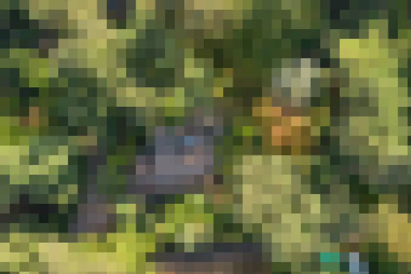 Wolfhezerweg 120 57 Wolfheze thumbnail 8