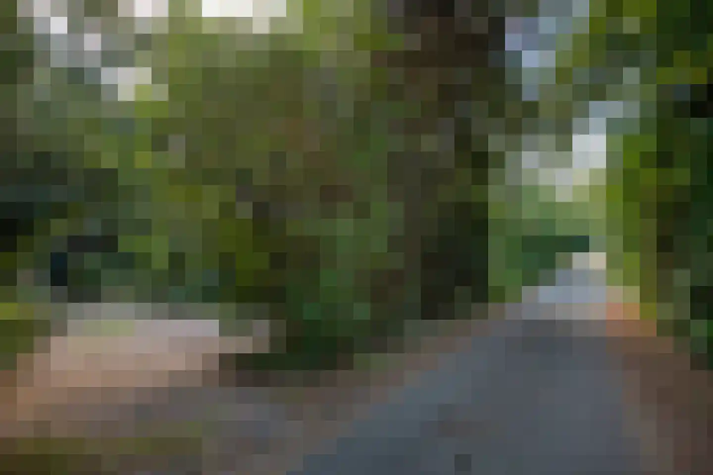 Wolfhezerweg 120 57 Wolfheze thumbnail 9