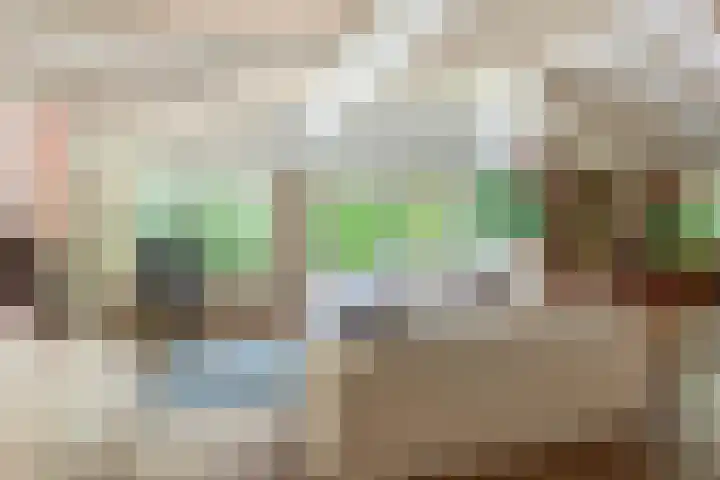 Wolfhezerweg 120 76 Wolfheze thumbnail 10