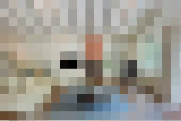 Wolfhezerweg 120 76 Wolfheze thumbnail 11