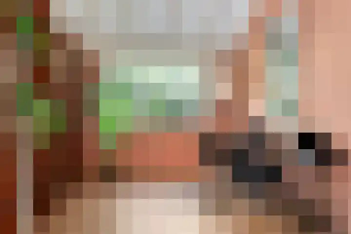 Wolfhezerweg 120 76 Wolfheze thumbnail 14