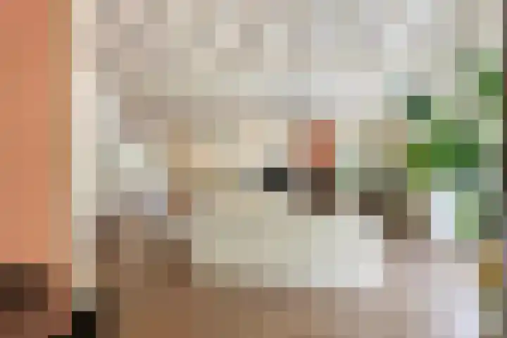 Wolfhezerweg 120 76 Wolfheze thumbnail 16