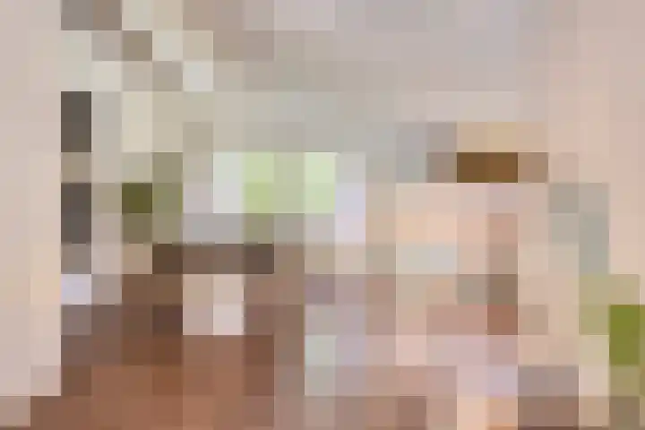 Wolfhezerweg 120 76 Wolfheze thumbnail 17