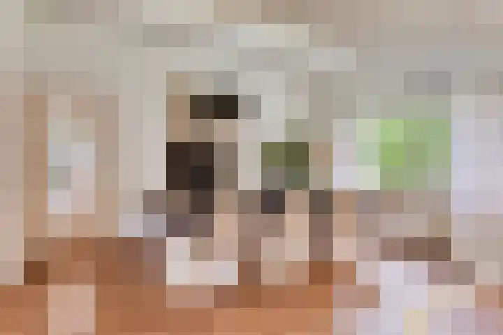 Wolfhezerweg 120 76 Wolfheze thumbnail 19