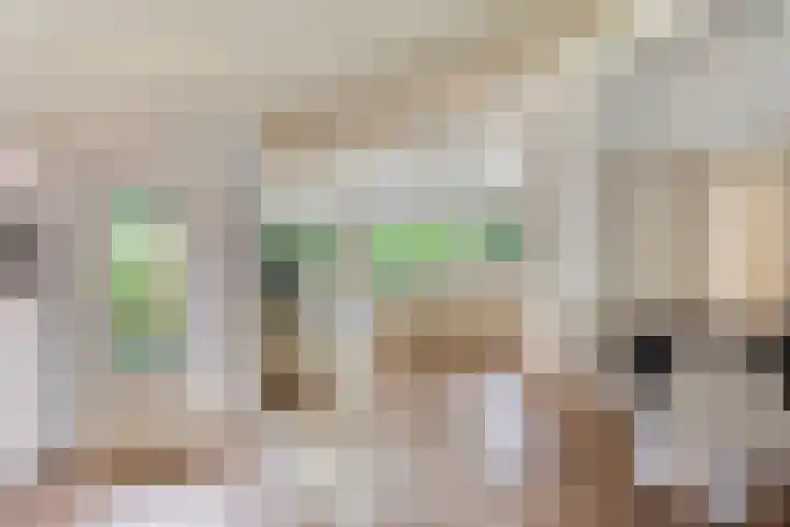 Wolfhezerweg 120 76 Wolfheze thumbnail 23
