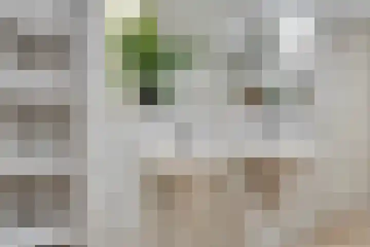 Wolfhezerweg 120 76 Wolfheze thumbnail 28