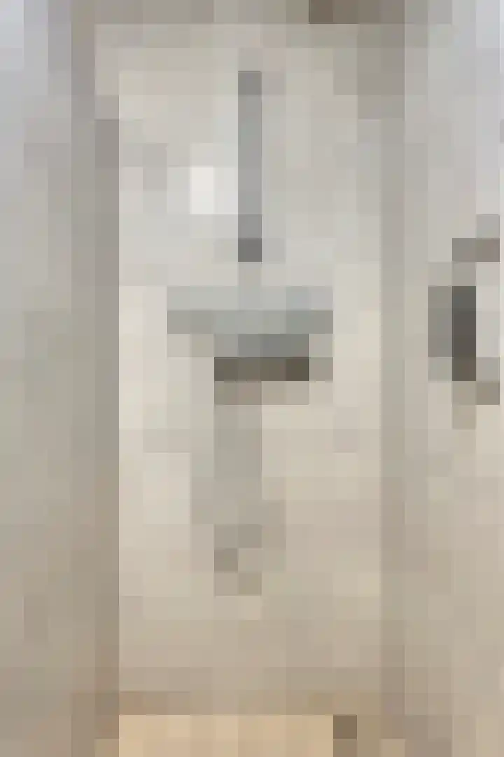 Wolfhezerweg 120 76 Wolfheze thumbnail 29
