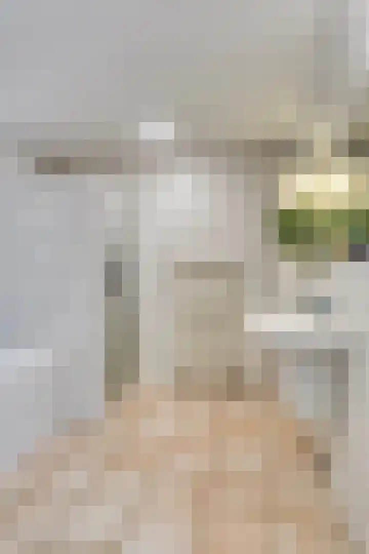 Wolfhezerweg 120 76 Wolfheze thumbnail 30