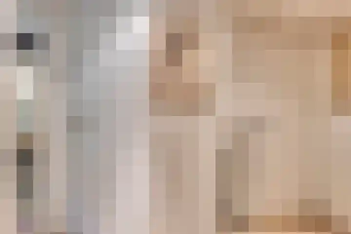 Wolfhezerweg 120 76 Wolfheze thumbnail 37