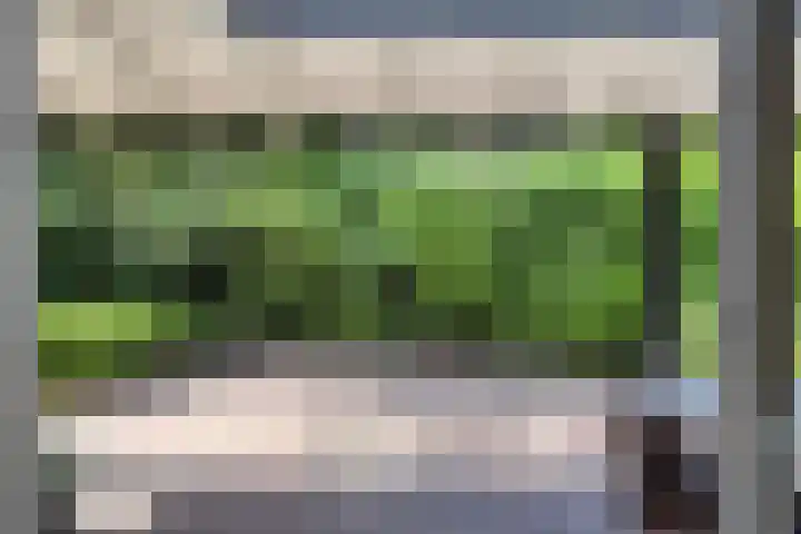 Wolfhezerweg 120 76 Wolfheze thumbnail 45