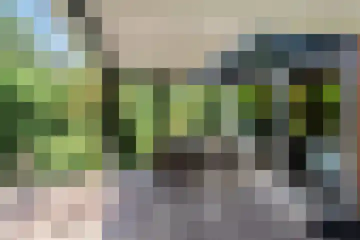 Wolfhezerweg 120 76 Wolfheze thumbnail 47