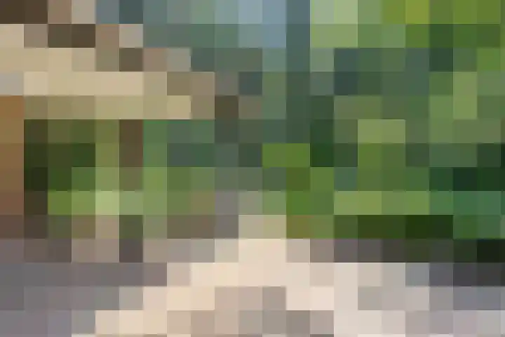 Wolfhezerweg 120 76 Wolfheze thumbnail 48