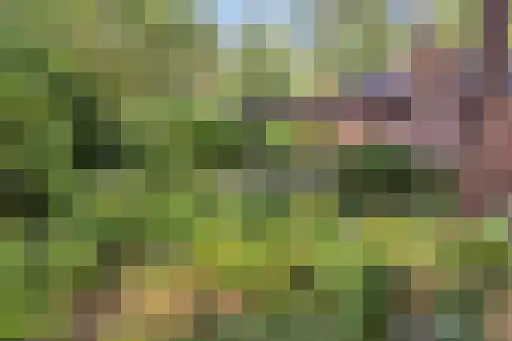 Wolfhezerweg 120 76 Wolfheze thumbnail 49