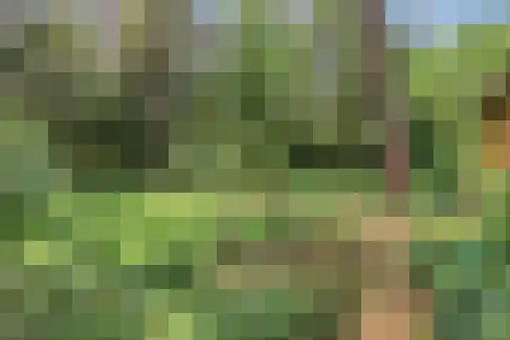 Wolfhezerweg 120 76 Wolfheze thumbnail 50