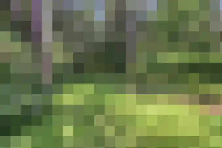 Wolfhezerweg 120 76 Wolfheze thumbnail 51
